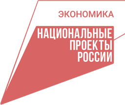 Национальные проекты России. Экономика